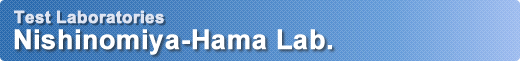 Test Laboratories Nishinomiya-Hama Lab Test Laboratories Nishinomiya-Hama Lab