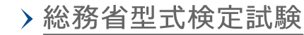 �����Ȍ^�����莎��