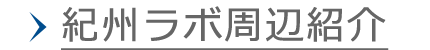 �I�B���{���ӏЉ�