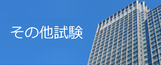 その他試験 その他試験